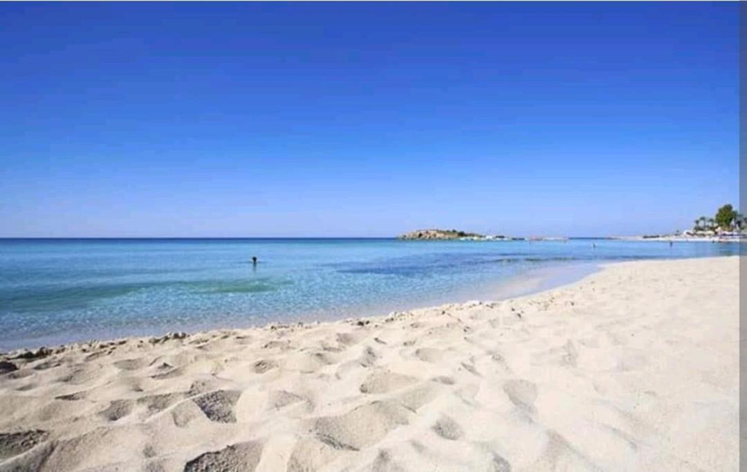 Nissi Golden Sand Lovely One Bedroom Apartment With Spacious Terrace And Free Parking Ajia Napa Zewnętrze zdjęcie